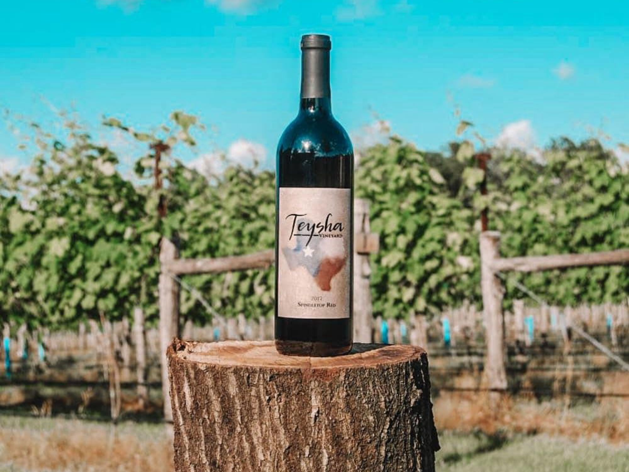 teysha wine bottle on sam houston wine trail
