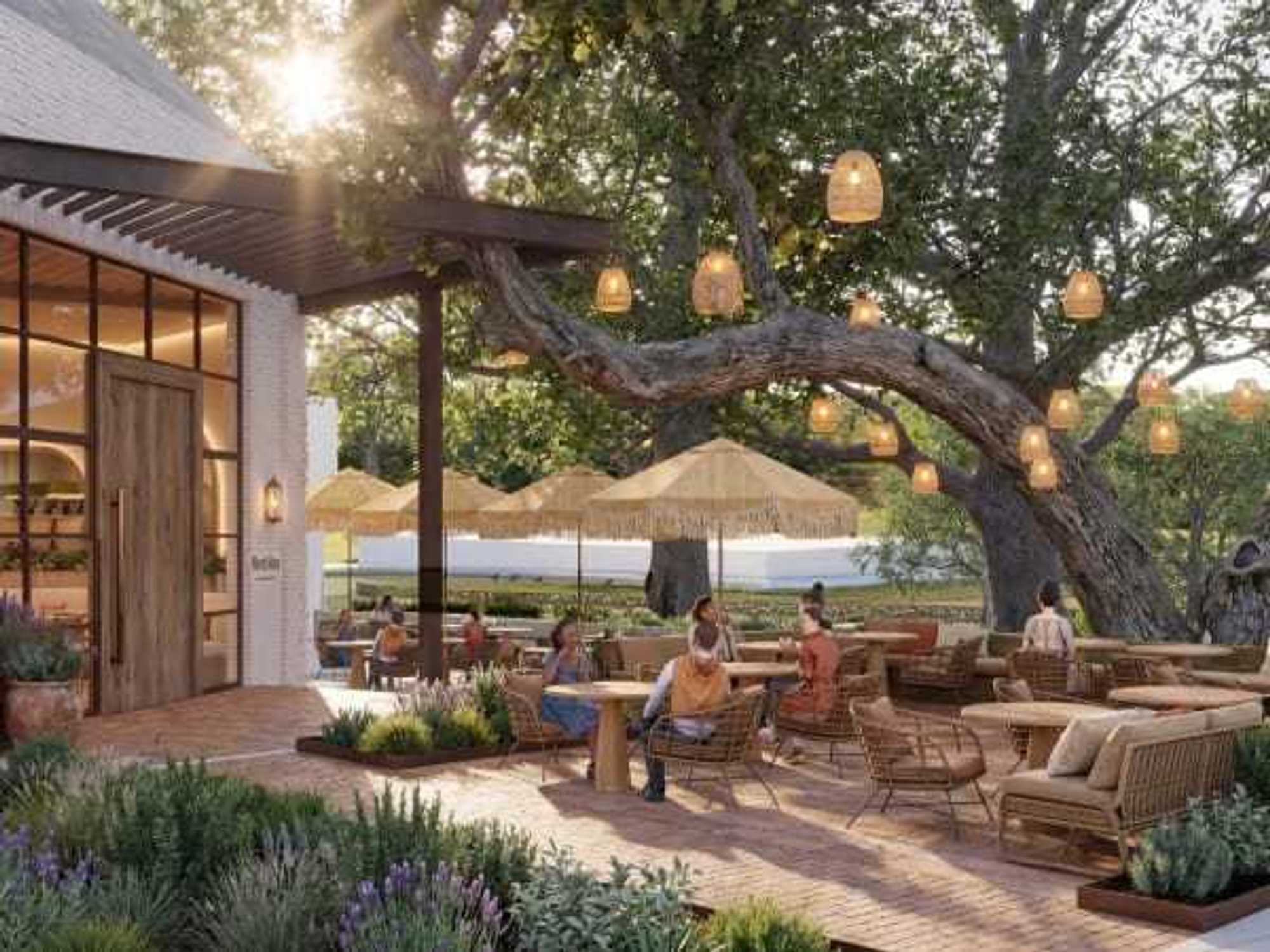 The Arboretum improvements