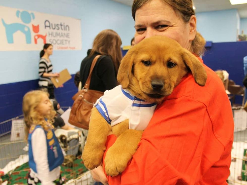 The Austin Humane Society's 9th Annual Puppy Bowl