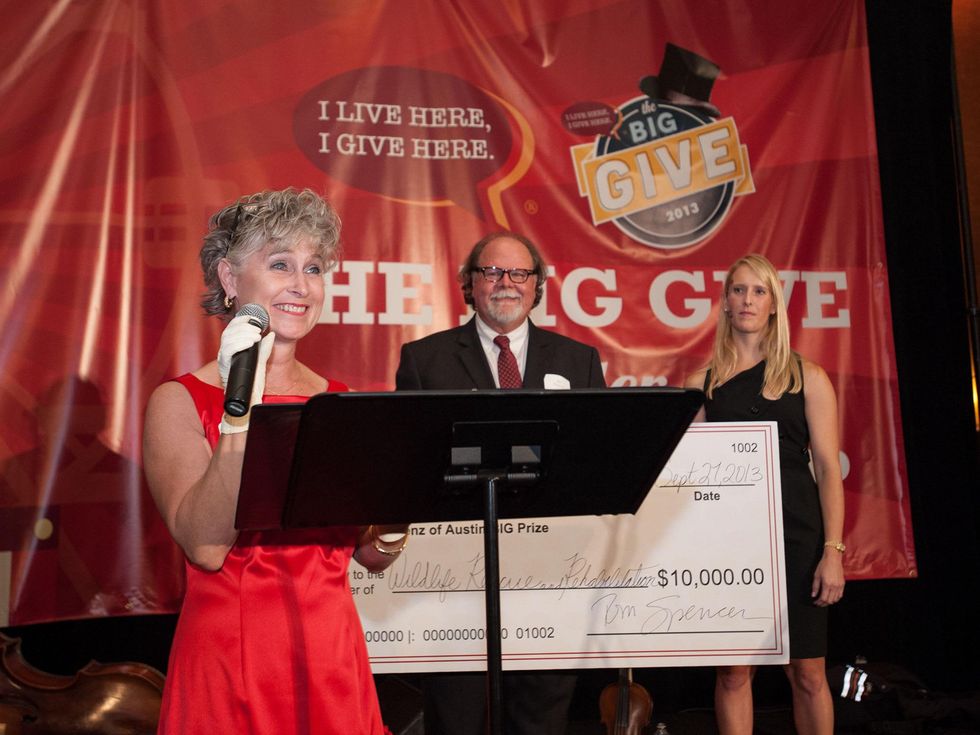 The Big Give in Austin 9875