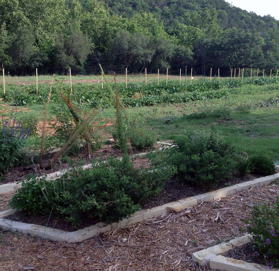 The fields at Travaasa