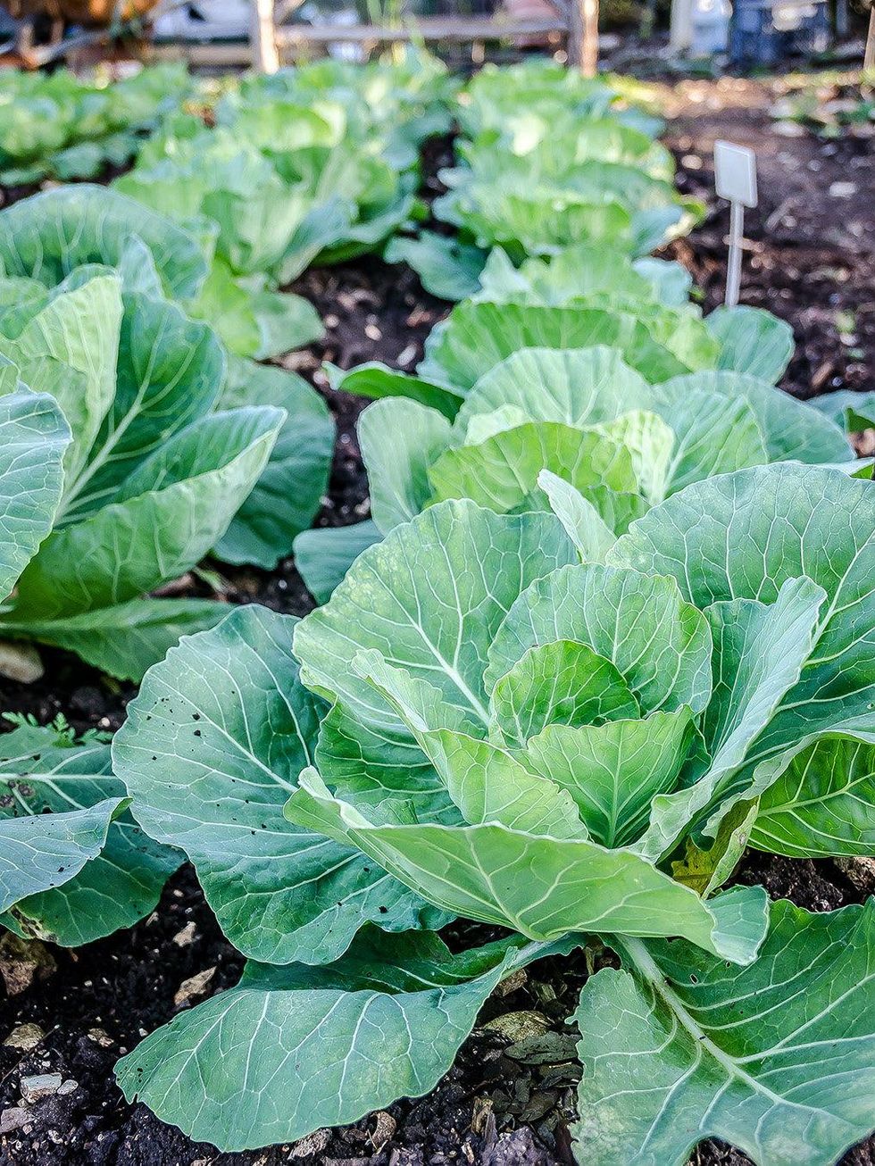 Luxuriate at Inn Above Onion Creek for a dinner, a spa day or a Hill