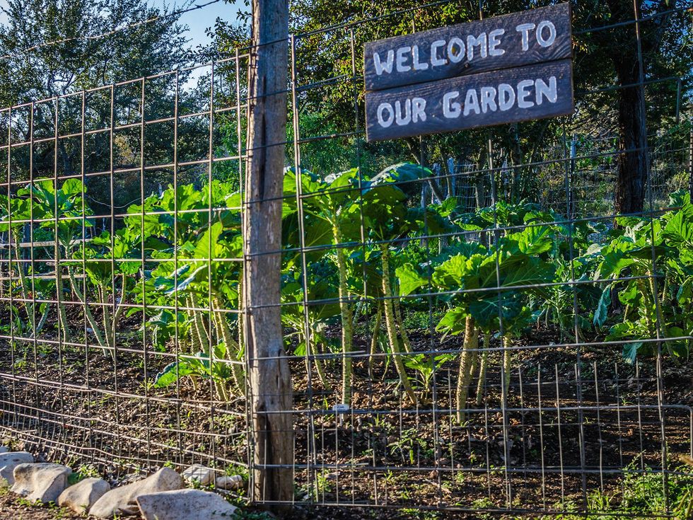 The Inn at Onion Creek garden fence