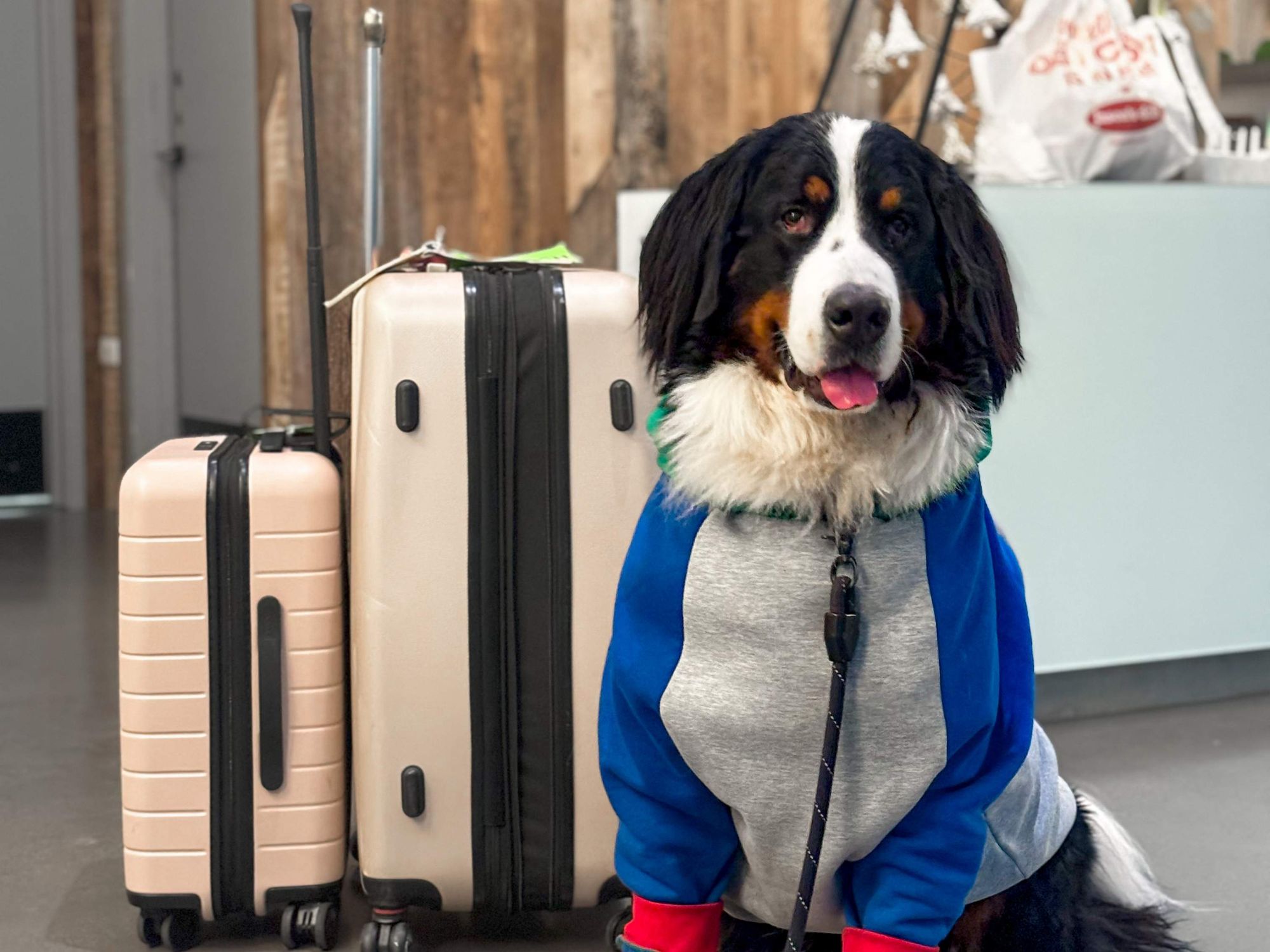 The Kimpton Pittman Hotel