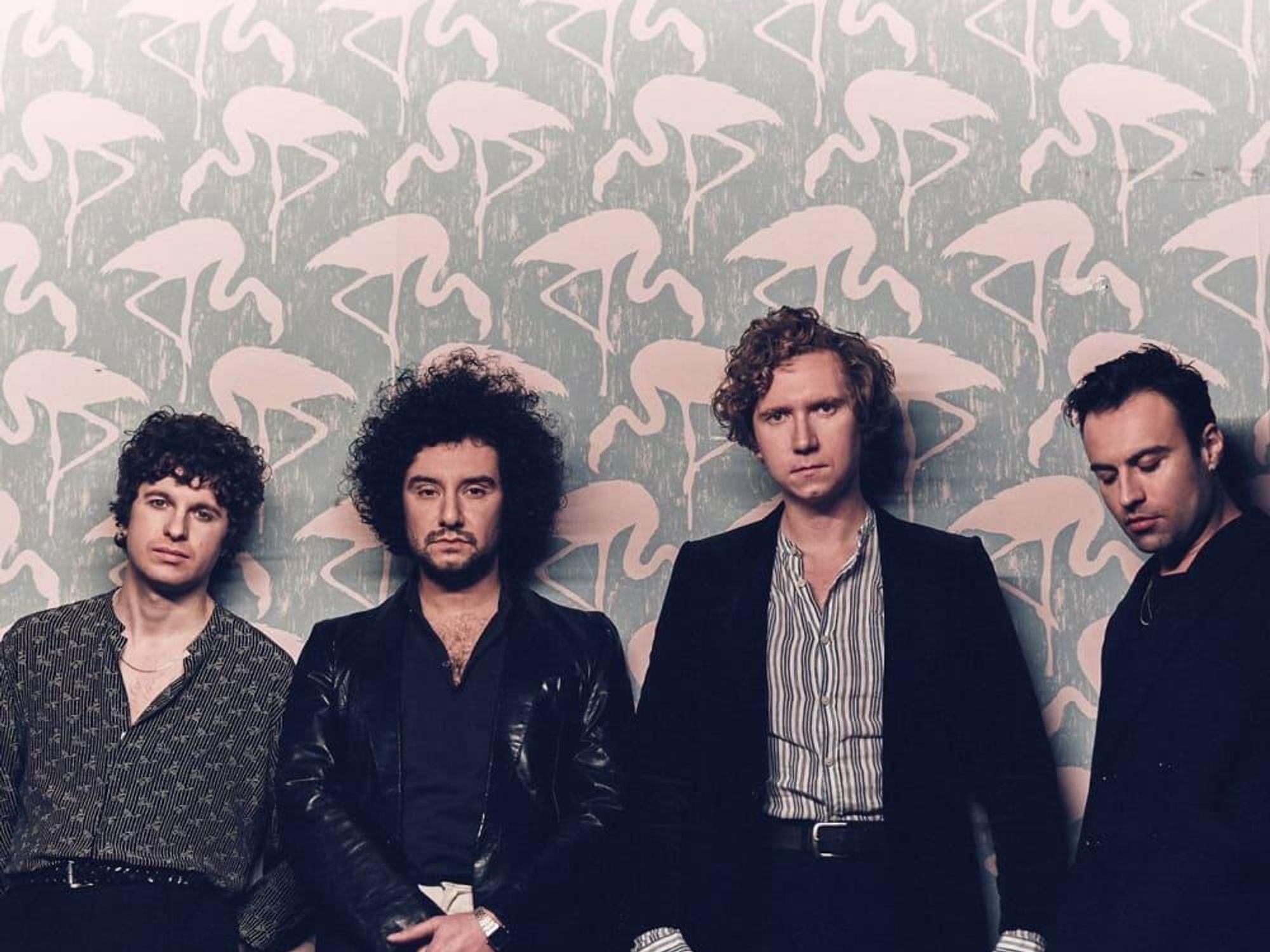 The Kooks
