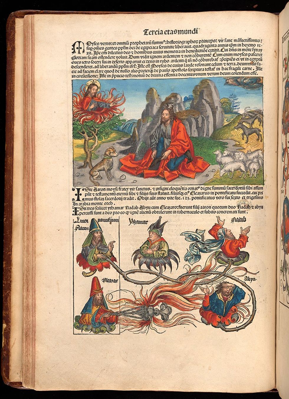 The Long Lives of Very Old Books, Harry Ransom Center