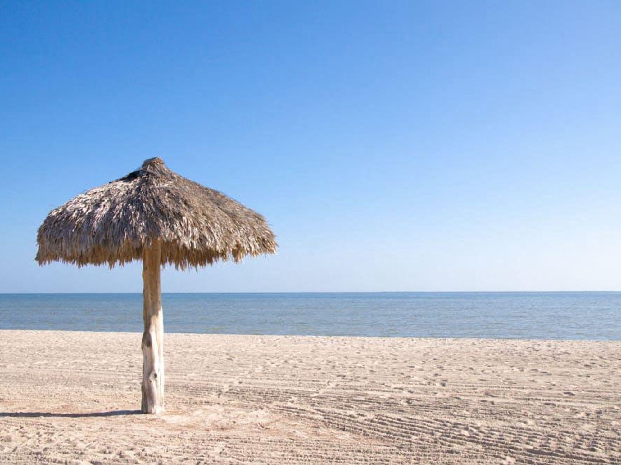 The palapa-lined Rockport Beach is a gem on the Texas coast.