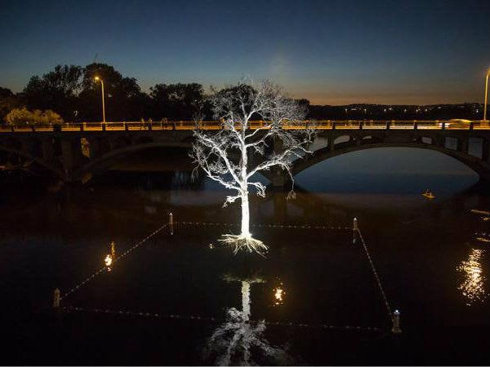 THIRST_installation_tree_ Lady_Bird_Lake