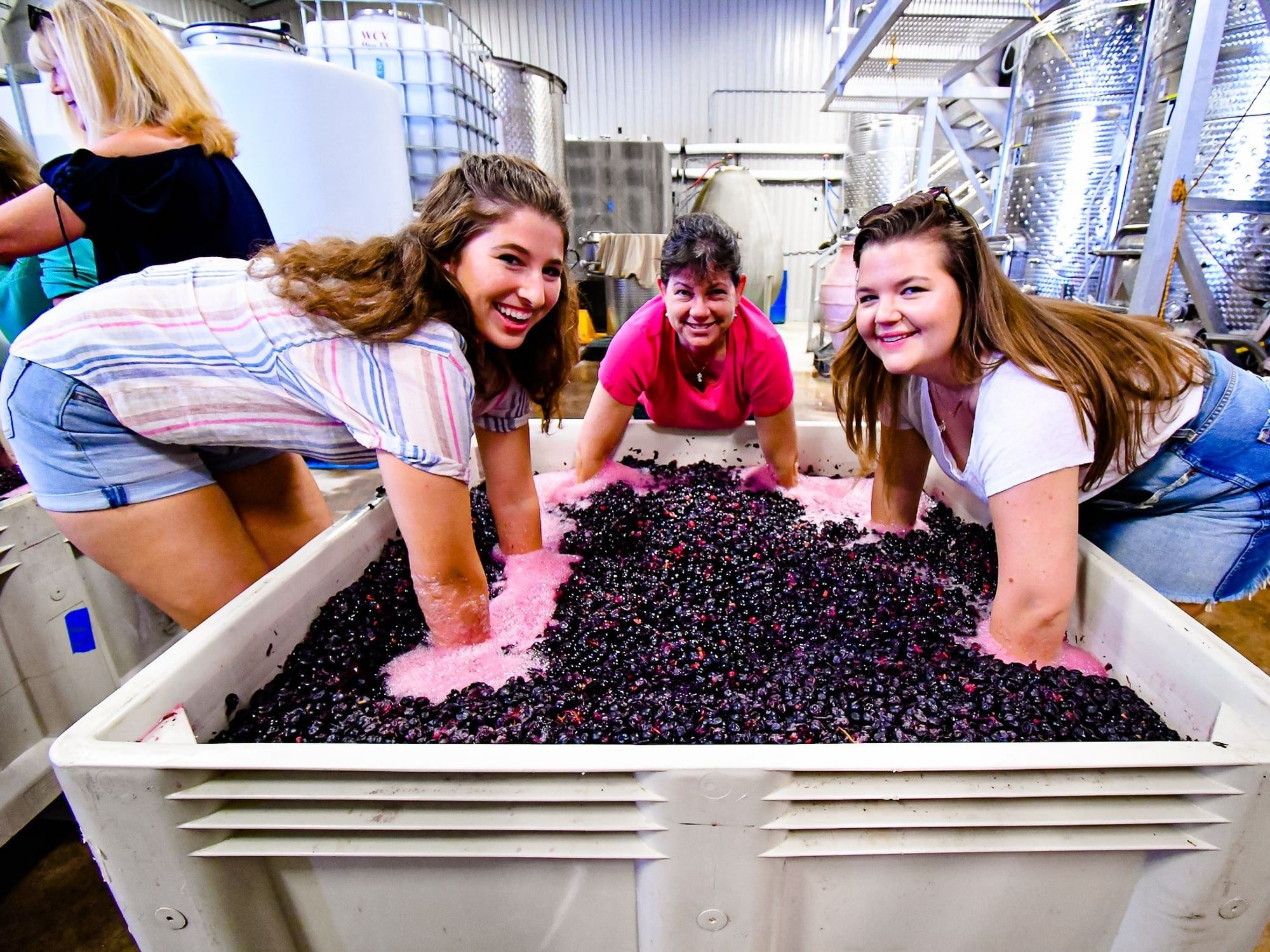 https://austin.culturemap.com/media-library/three-women-dip-their-hands-in-a-container-full-of-grapes.jpg?id=34843987&width=2000&height=1500&quality=85&coordinates=0%2C0%2C228%2C0