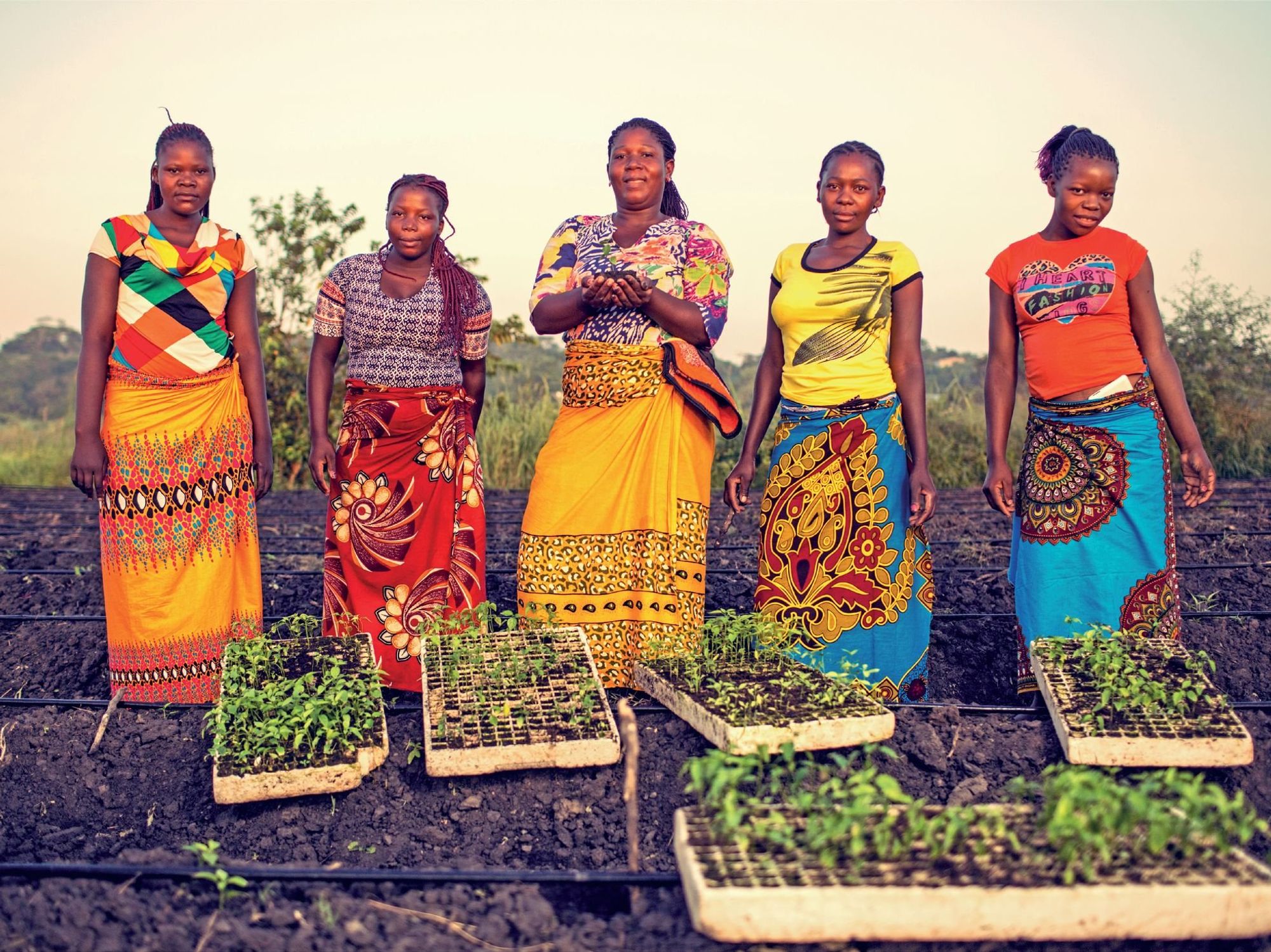 \u200bNando's PERi-PERi farmers