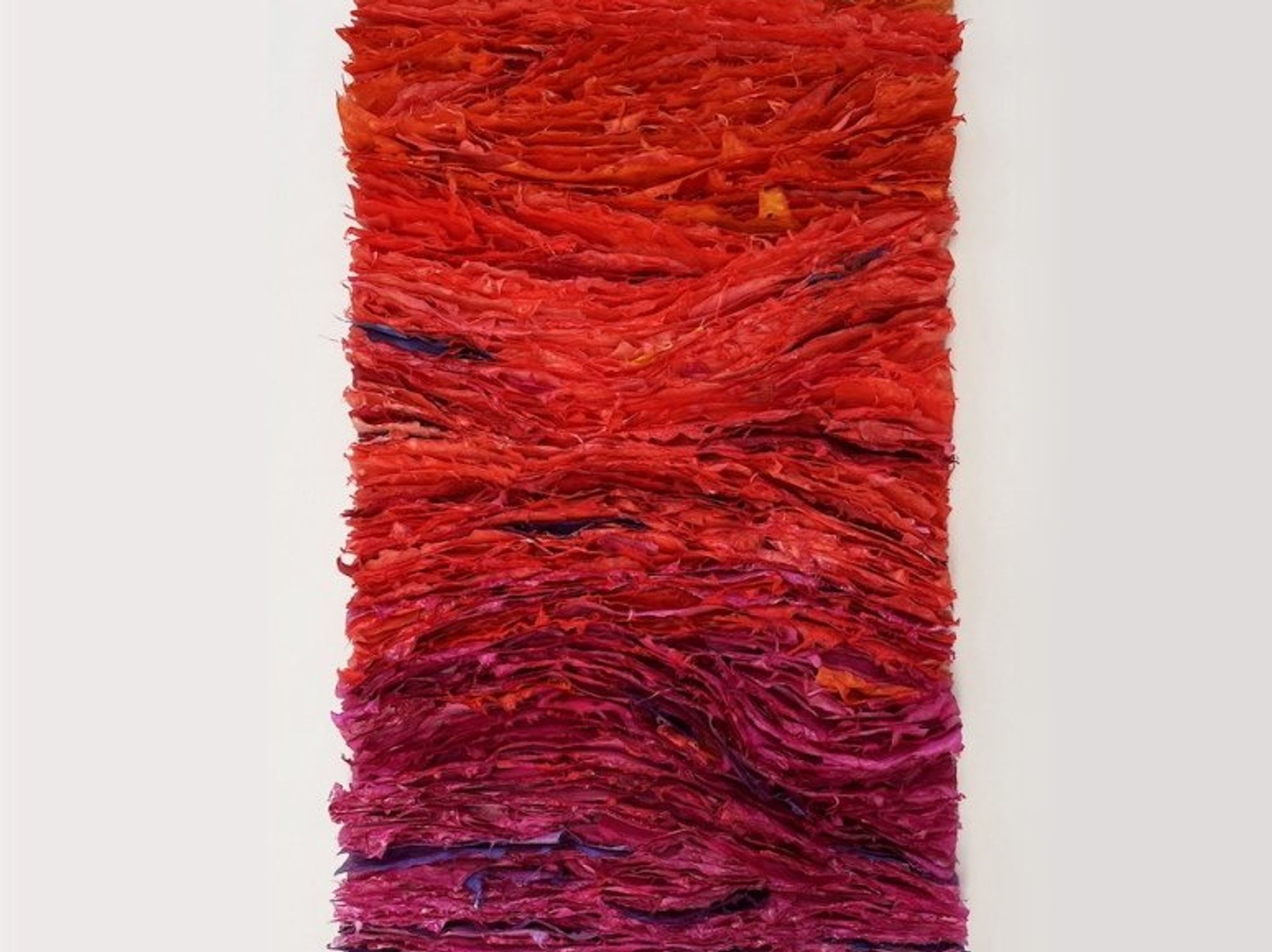 \u200bPriscilla Robinson: Wondrous World