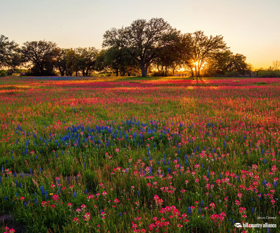 \u201cSunset\u201d by Jesus Corona