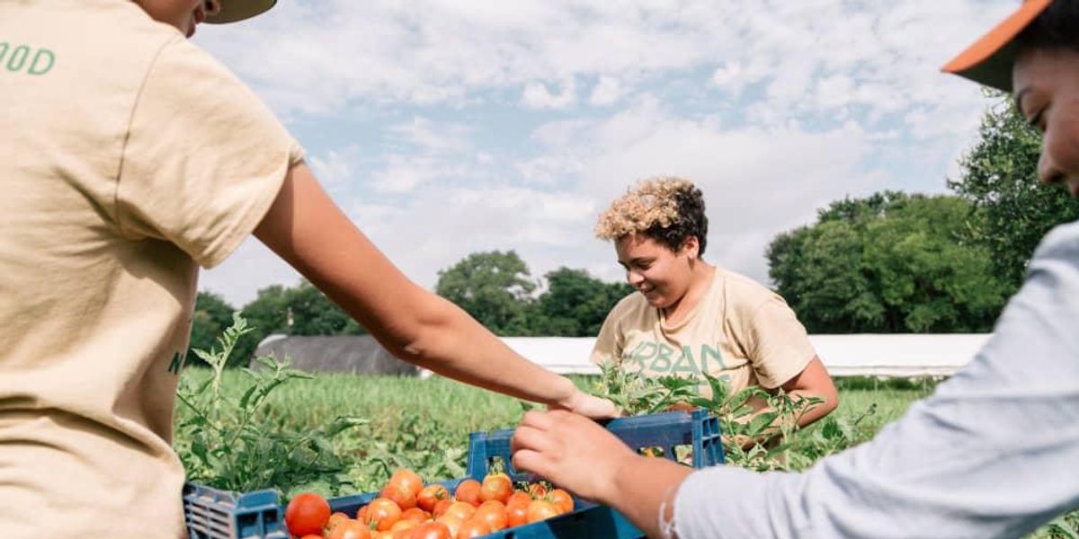 Essential Austin nonprofit finding new ways to nourish community amid COVID-19