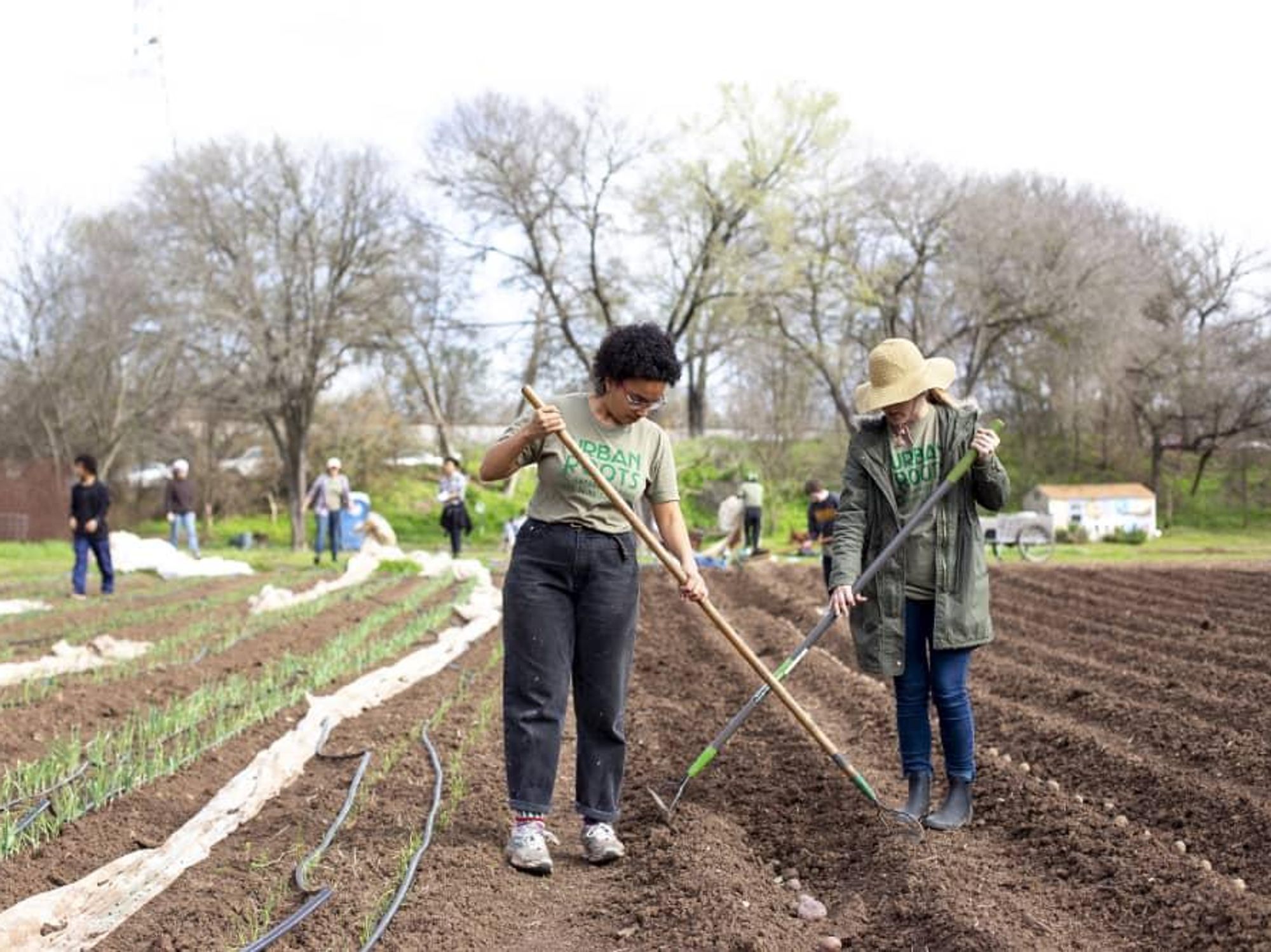 Urban Roots kids Austin