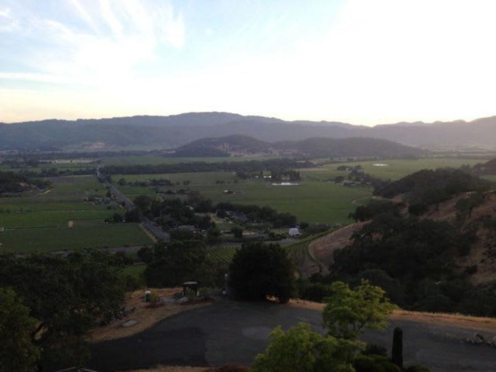 View of Cliff Lede Vineyards from the Poetry Inn.