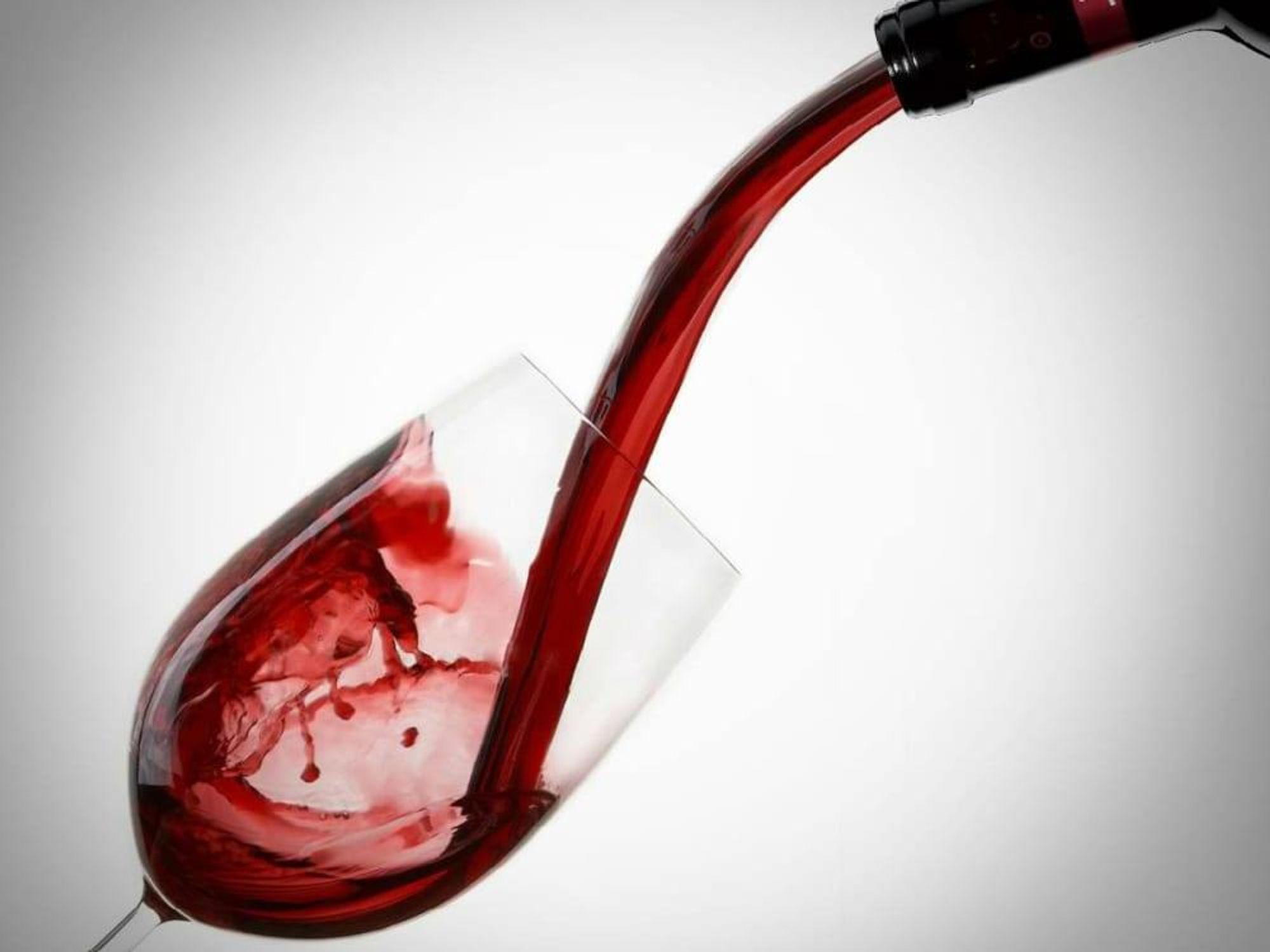 Vines and Photographs