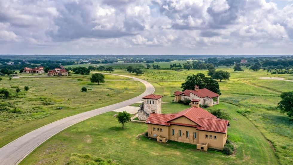 Vineyard at Florence