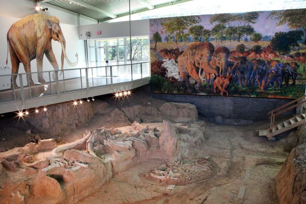 Waco Mammoth Site at Mayborn Museum