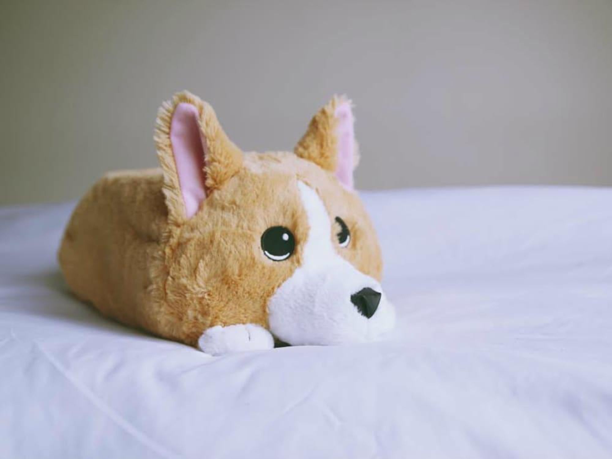 Waffles Corgi memory foam stuffed animal