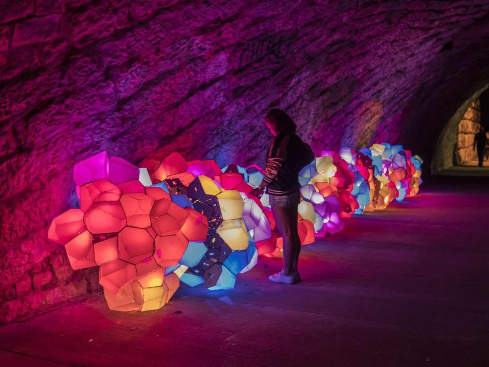 Waller Creek Show 2016 Nimbus Cloud by Animalis