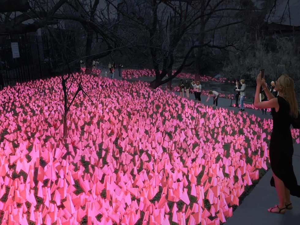 Waller Creek Show 2017 Night Garden