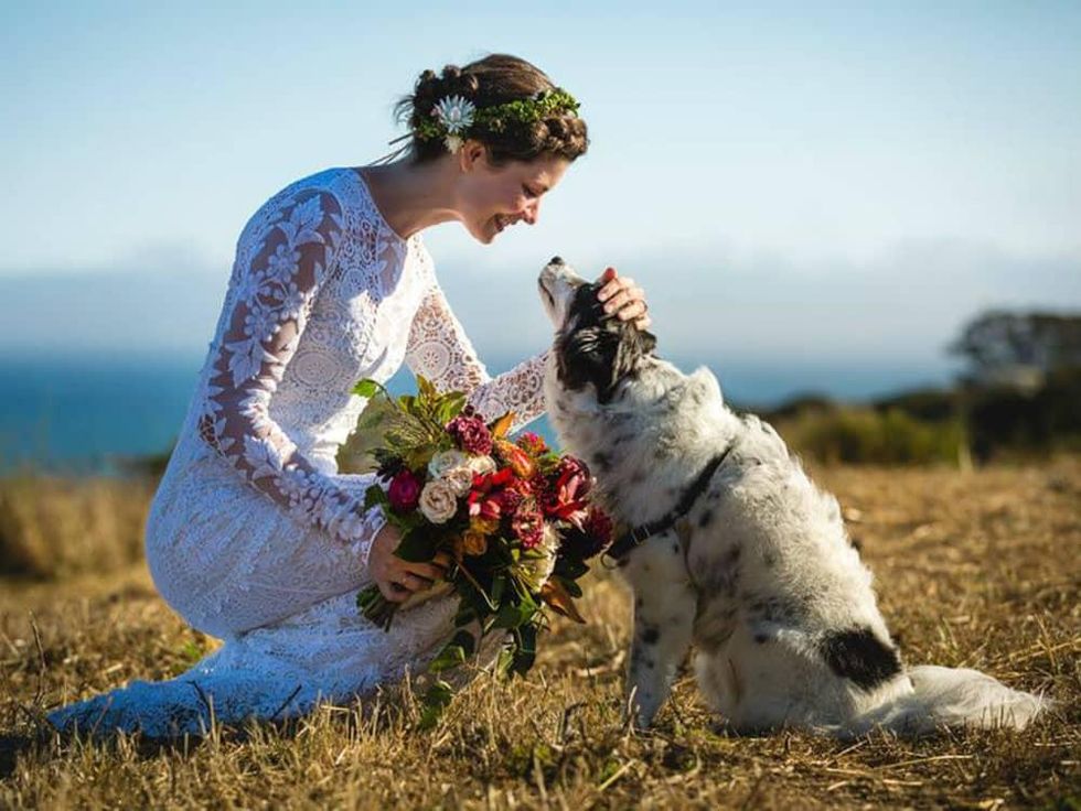 New Austin service caters to your pet on your wedding day
