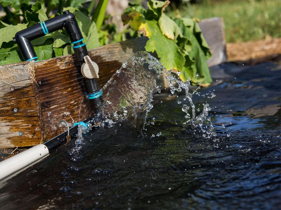 Water gushes out from a broken drip irrigation system