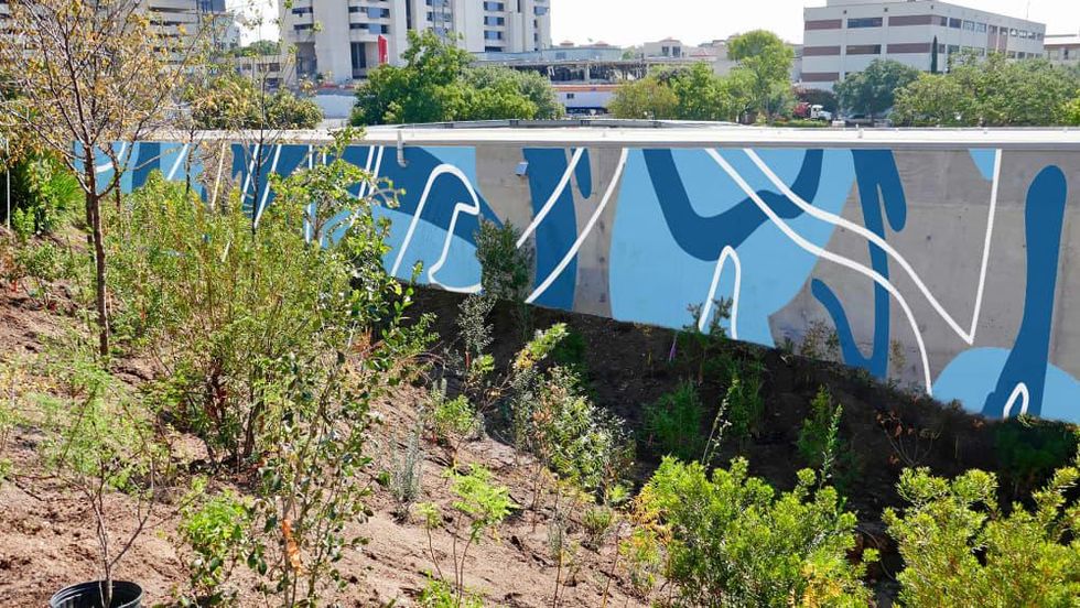 Waterloo Park Mural downtown Austin