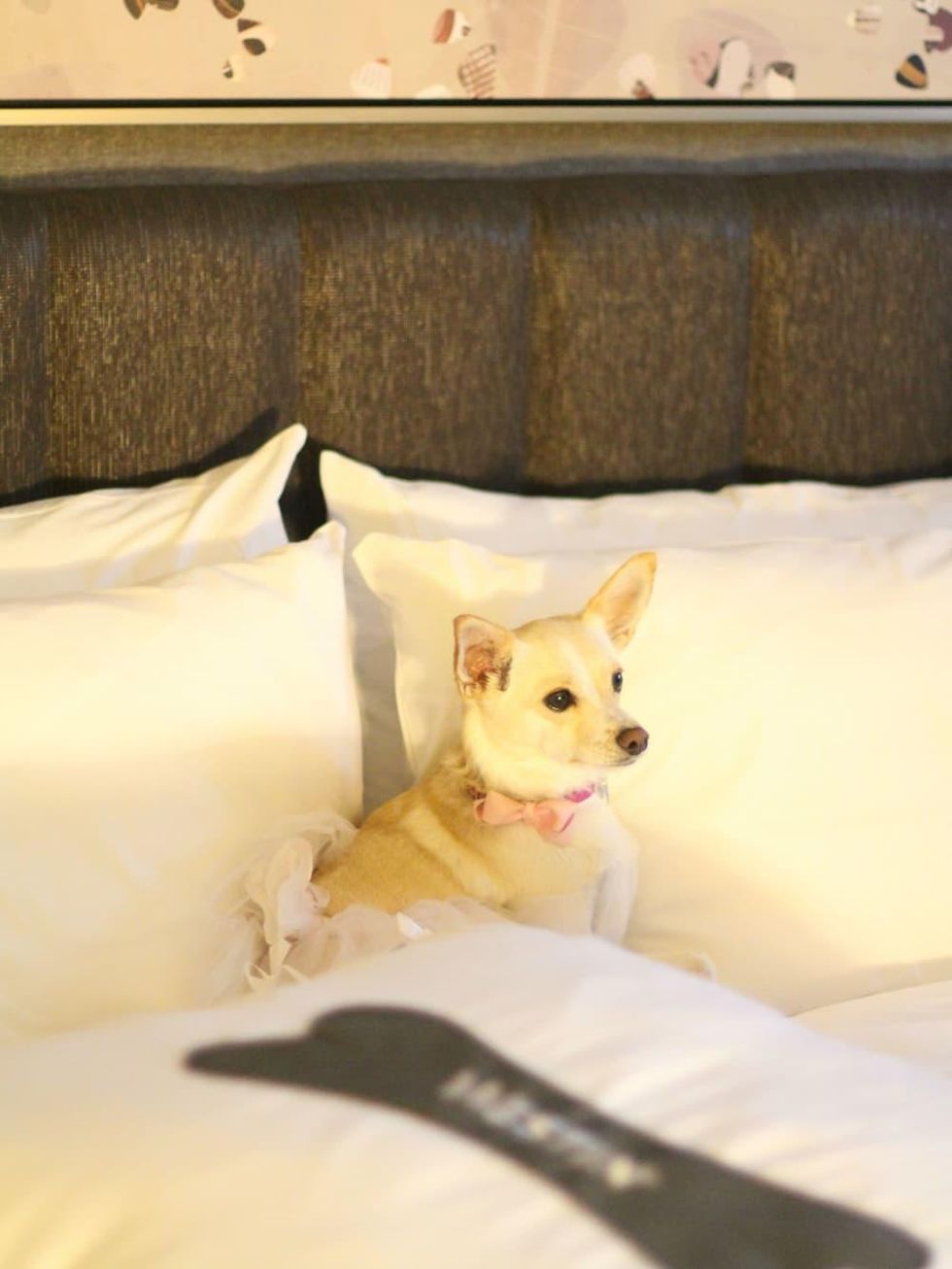 Westin Grand Opening Party