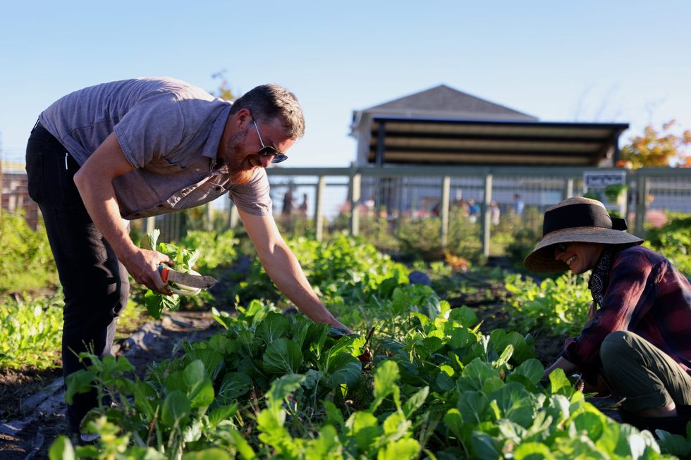 Whisper Valley garden