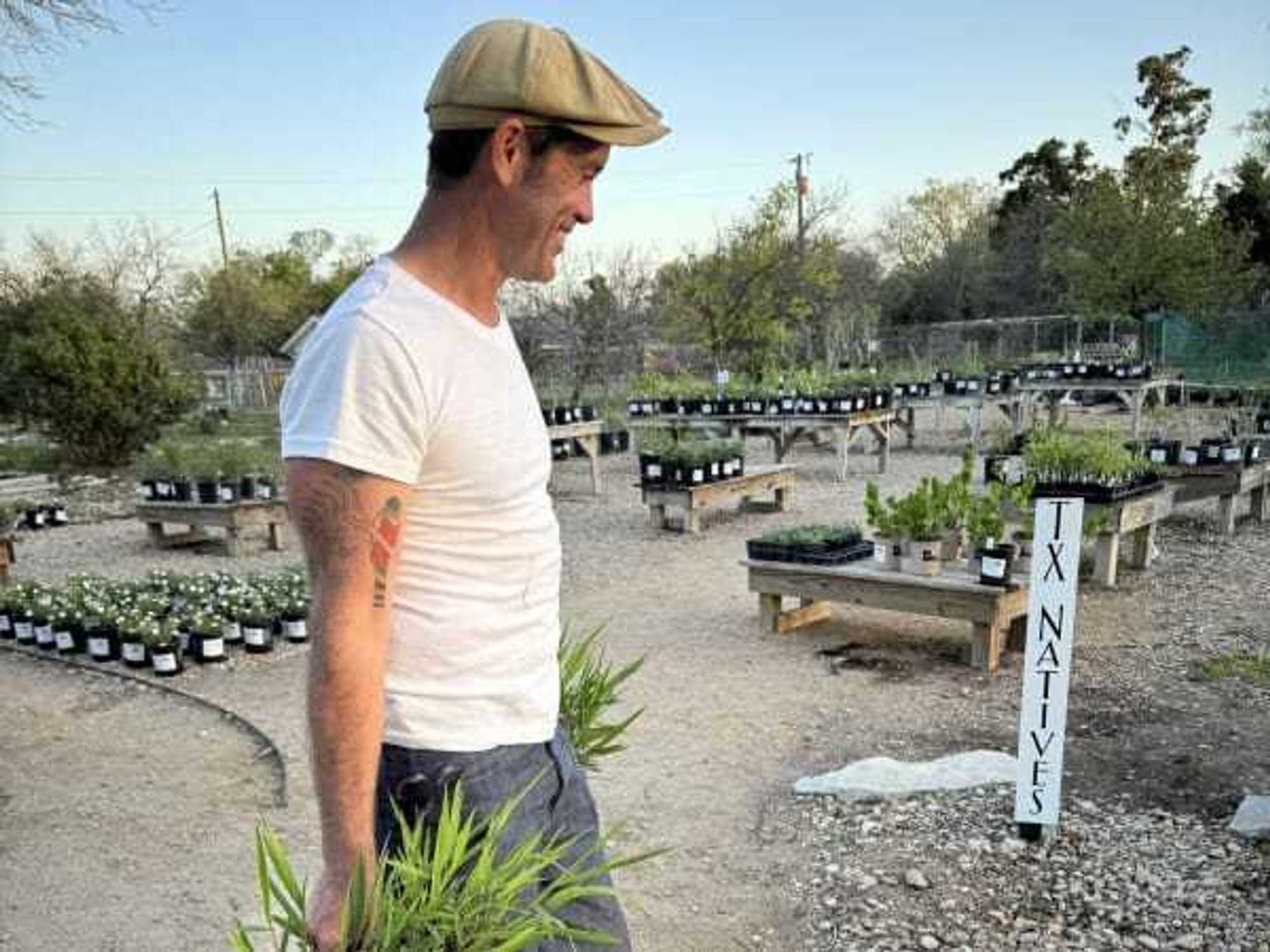 Willy Glenn at Greensleeves Nursery