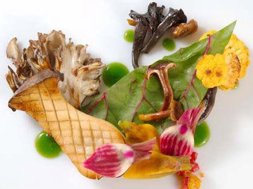 Wink mushrooms and winter vegetables