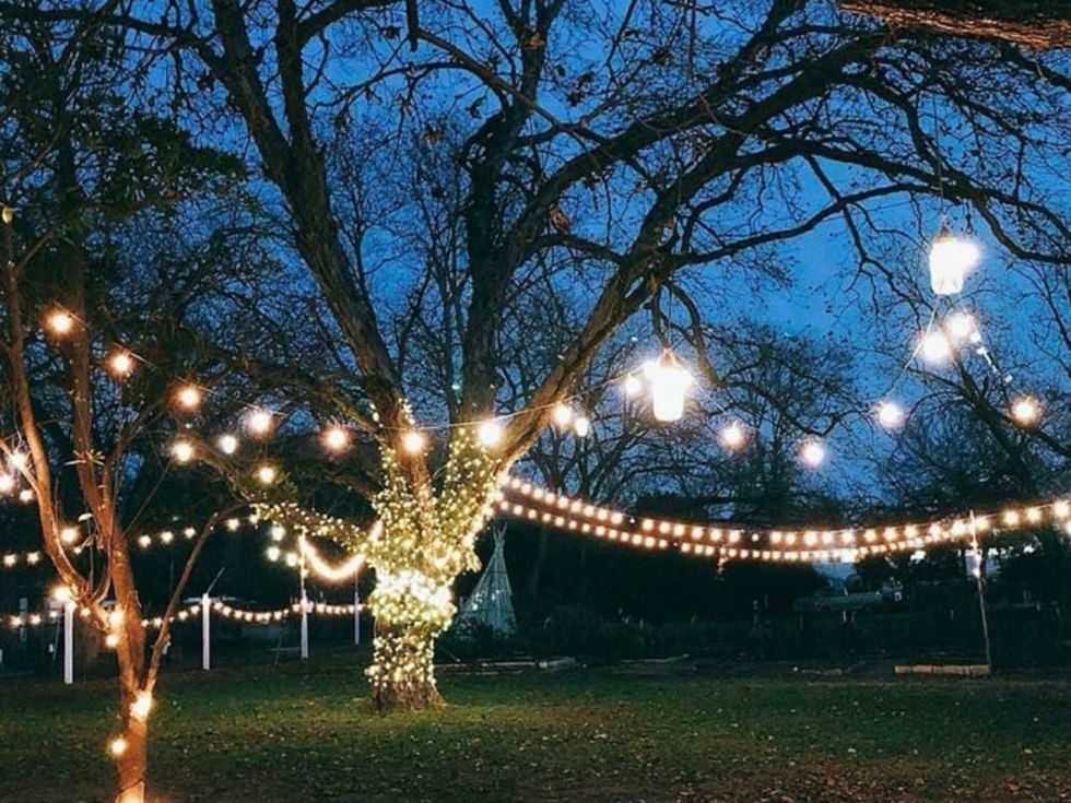 Winter Solstice Festival