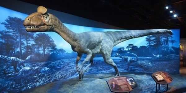 Take a tour of Texas' world-class, wondrous, and wacky museums - Vimarsana News