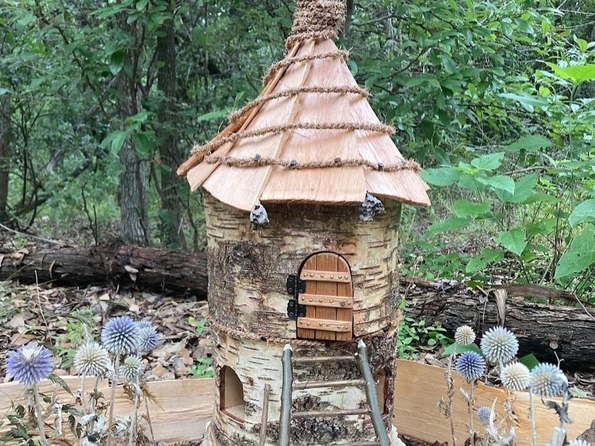 Woodland Faerie Trail Zilker Botanical Garden