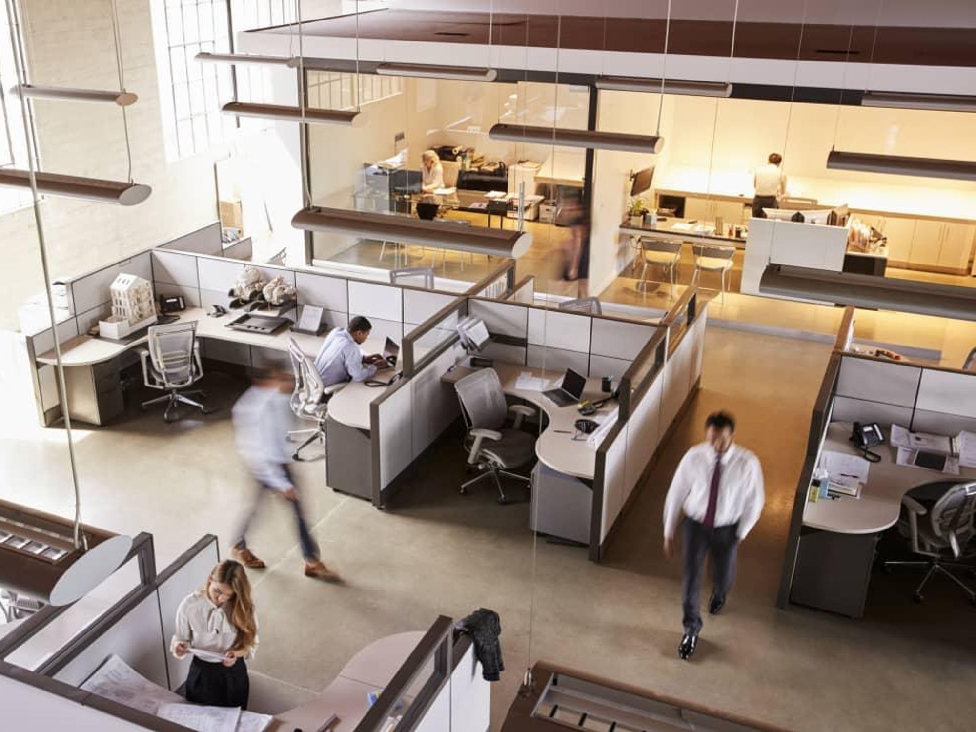 workers in an office with cubicles