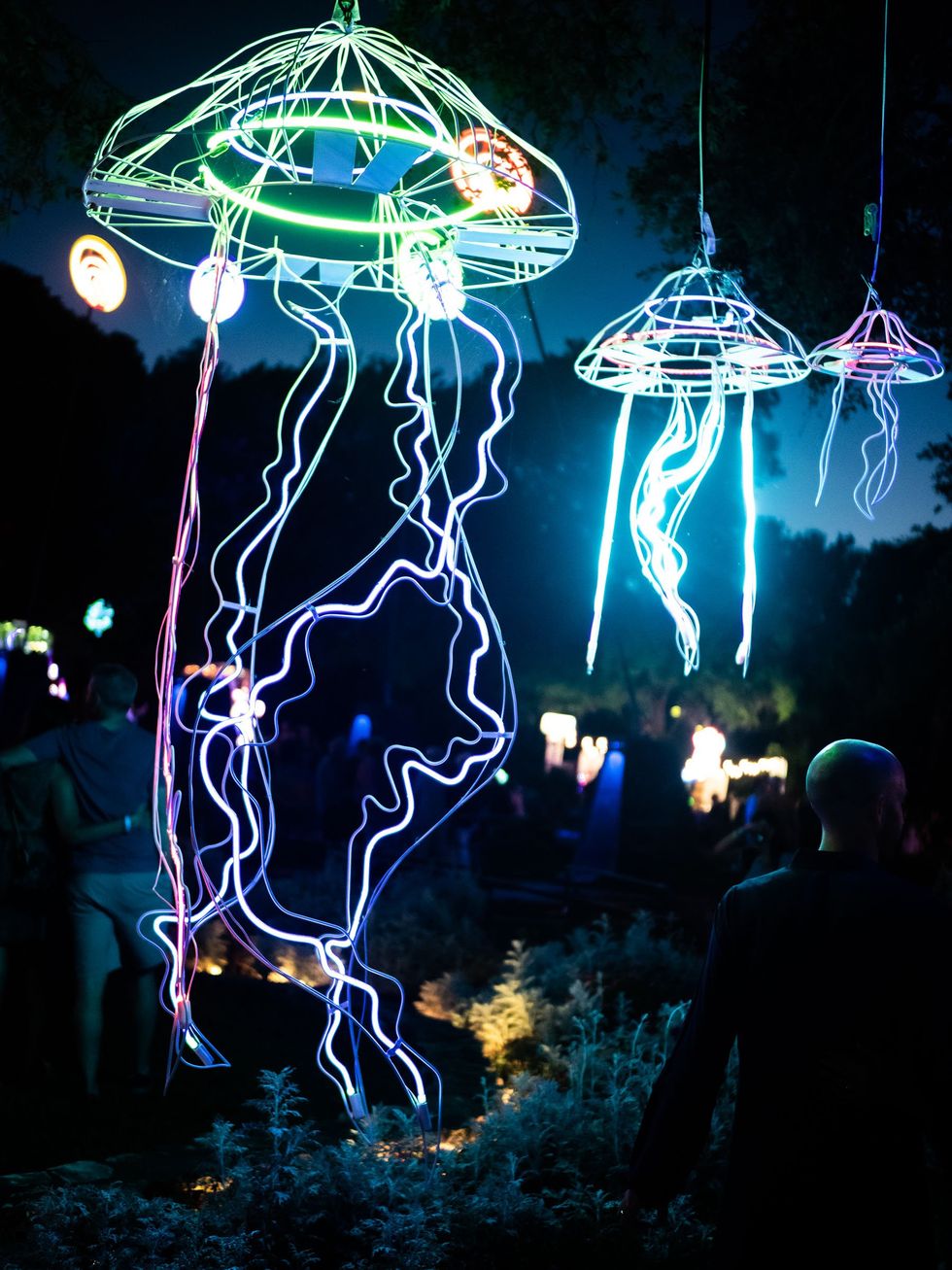 Zilker Botanical Garden, Surreal Garden