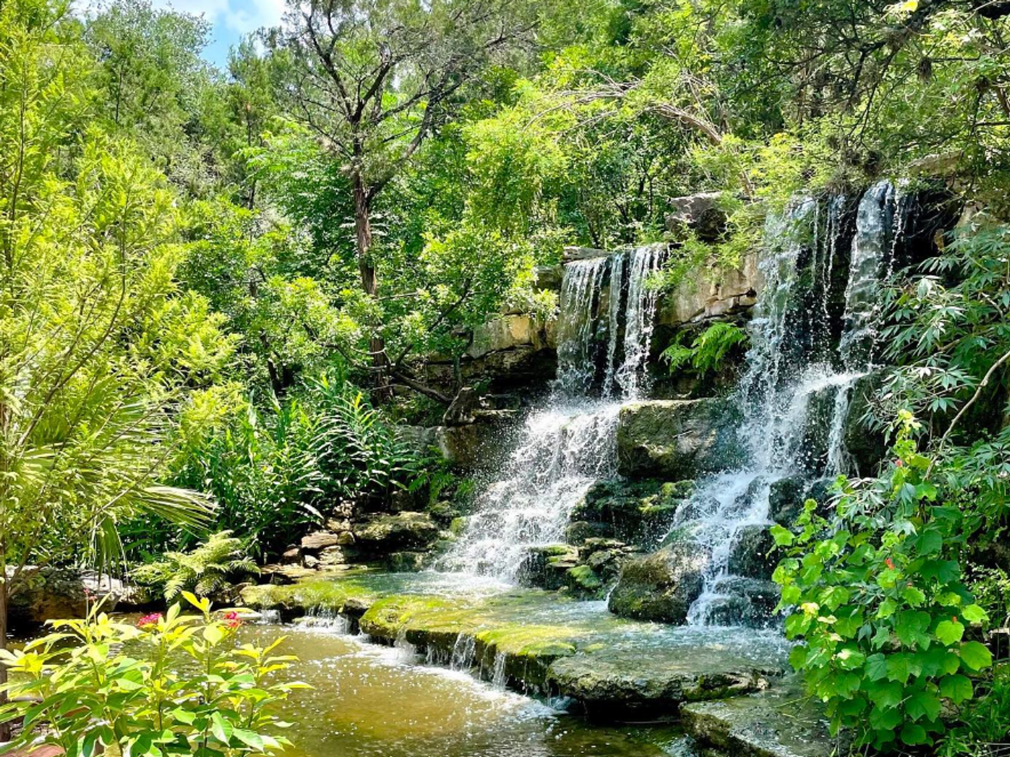 Zilker Botanical Garden waterfall