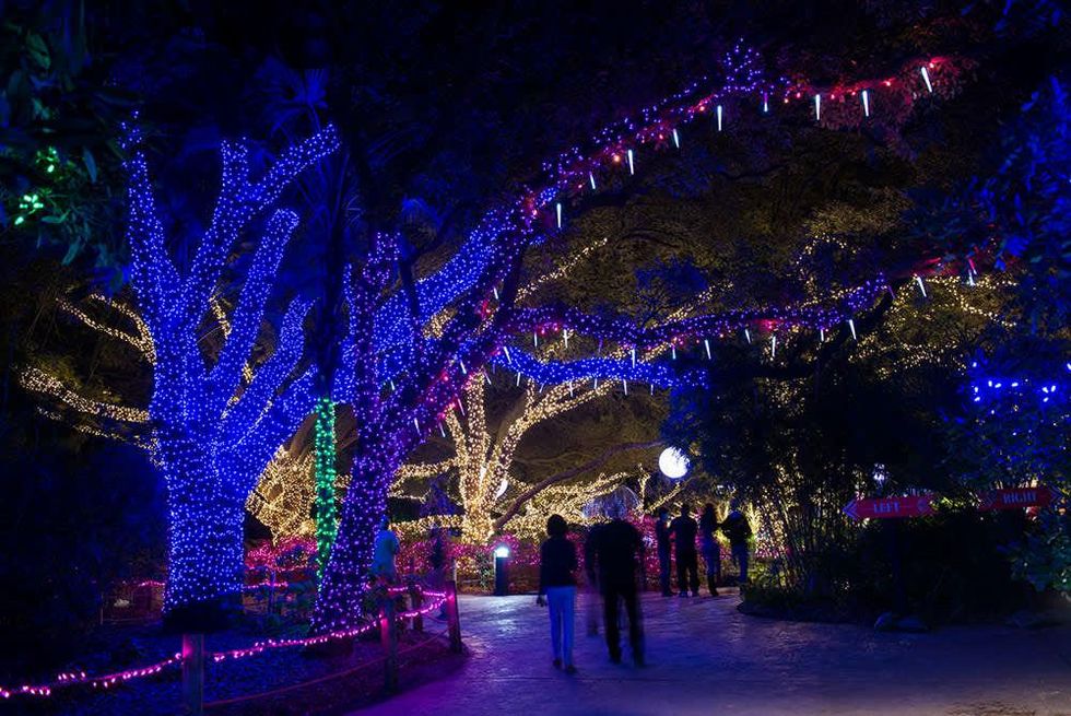 Zoo Lights Houston Zoo 2014